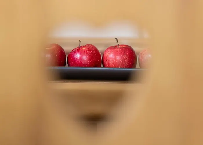 Haus Zyka Нойштифт-им-Штубайталь