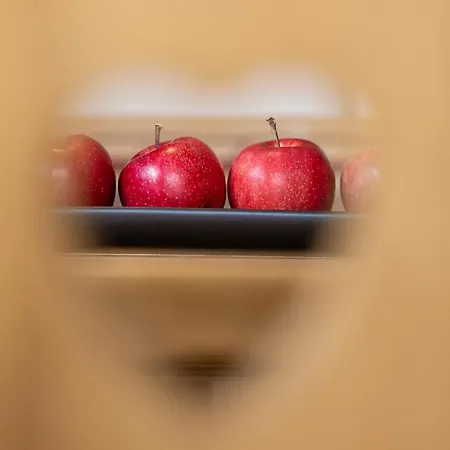 فيرينفونونغ هاوس زيكا نيوستيف ام ستوبيتا