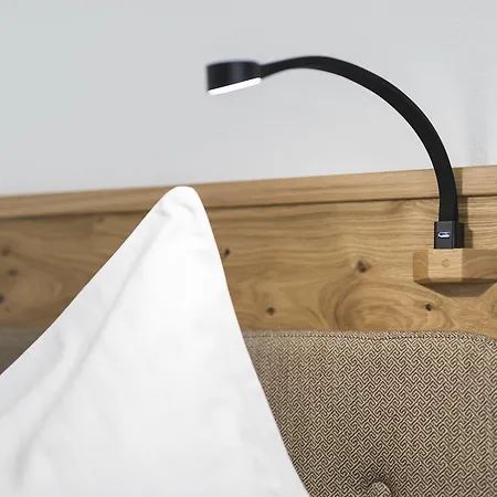 فيرينفونونغ هاوس زيكا *